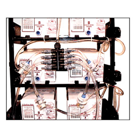 Multiple Flavor Cleaning